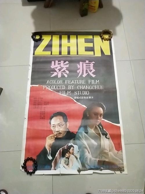 法国驾驶证作假